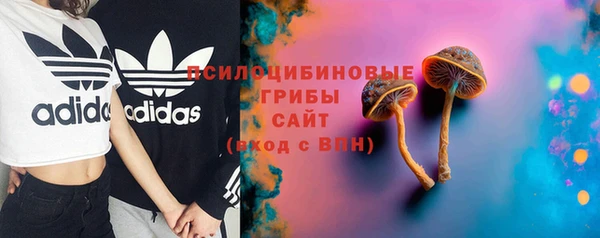прущая мука Верея